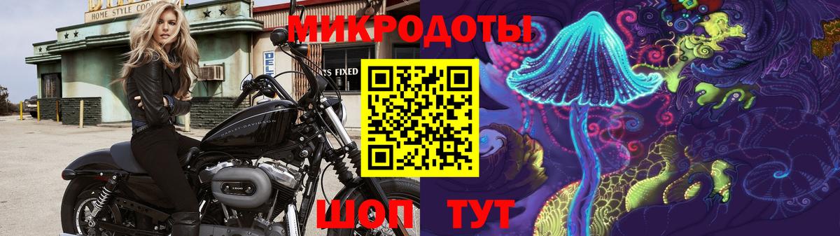 Лесосибирск  Галлюциногенные грибы Cubensis  Вход с VPN 